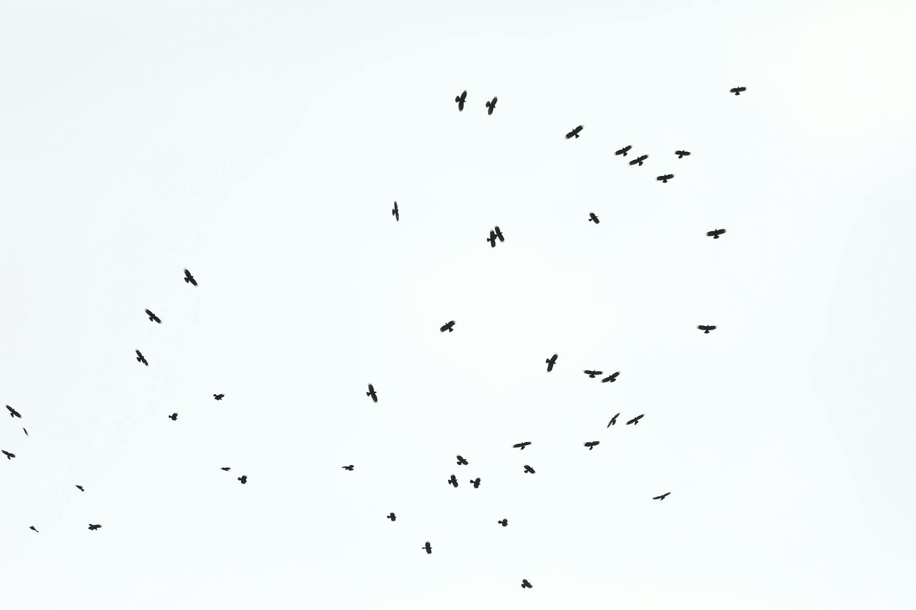 Świnoujście apeluje: zapłaćcie podatki na czas