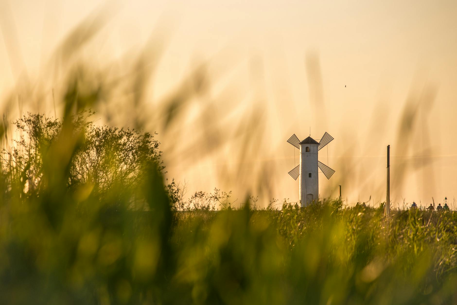 Mapa Polski z zaznaczonym Świnoujściem i wykresami wyników wyborów 2023